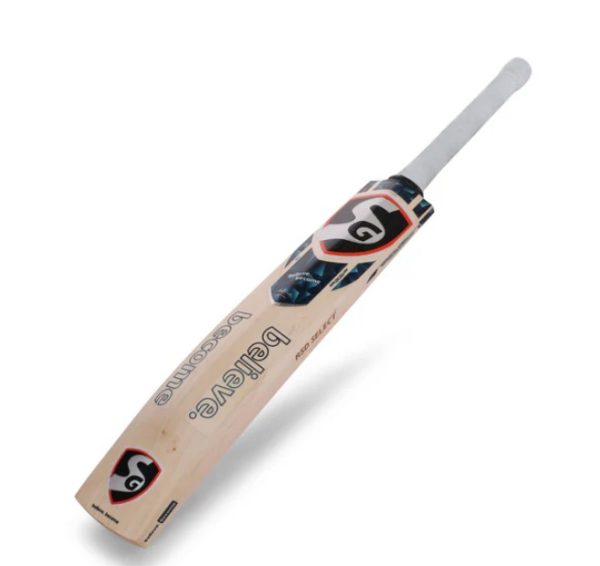 SG RSD Select English Willow Cricket Bat